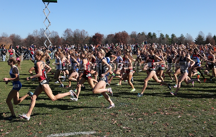 2012NCAA XC-019.JPG - 2012 NCAA D1 Cross Country Championships, November 17, 2012, held in Louisville, KY.